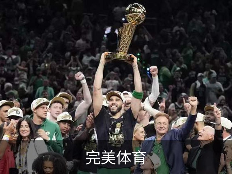 关于完美体育